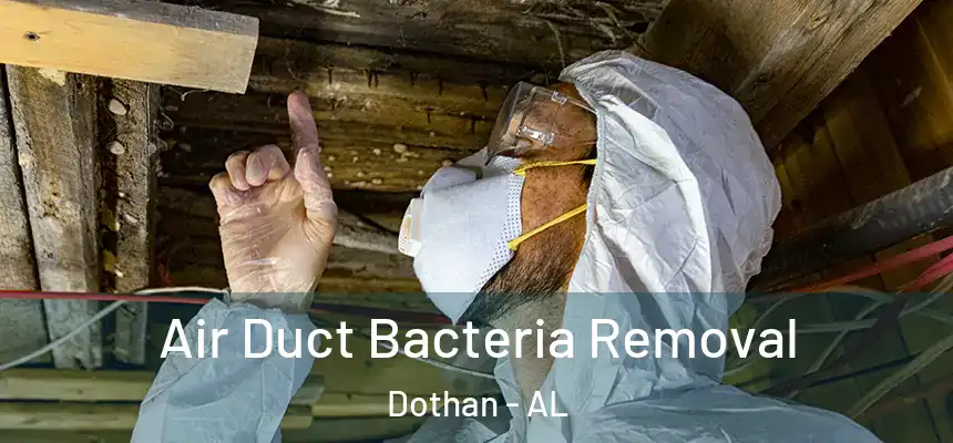 Air Duct Bacteria Removal Dothan - AL