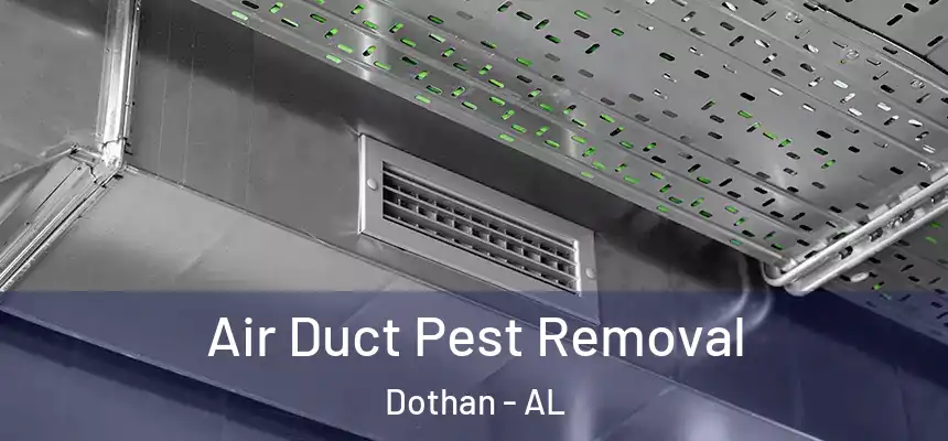 Air Duct Pest Removal Dothan - AL