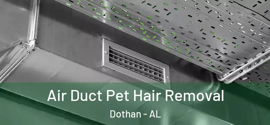 Air Duct Pet Hair Removal Dothan - AL