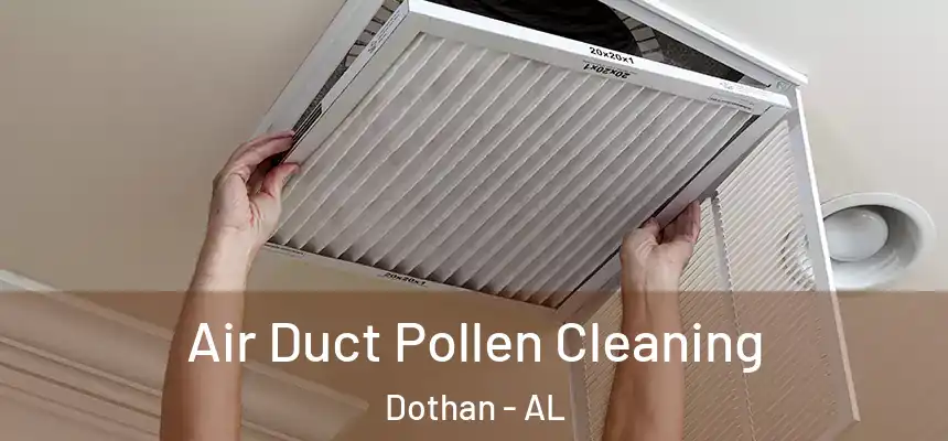 Air Duct Pollen Cleaning Dothan - AL