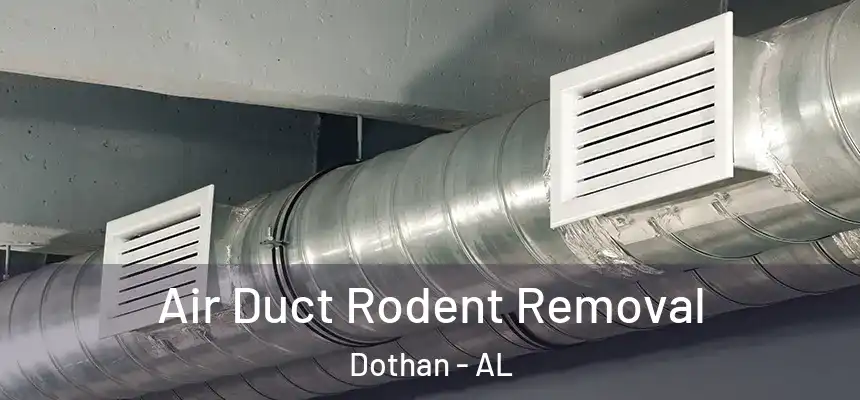  Air Duct Rodent Removal Dothan - AL
