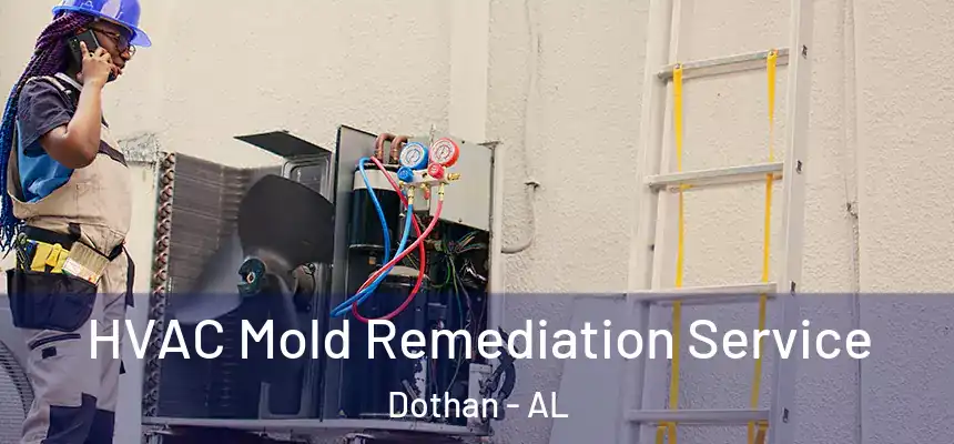 HVAC Mold Remediation Service Dothan - AL