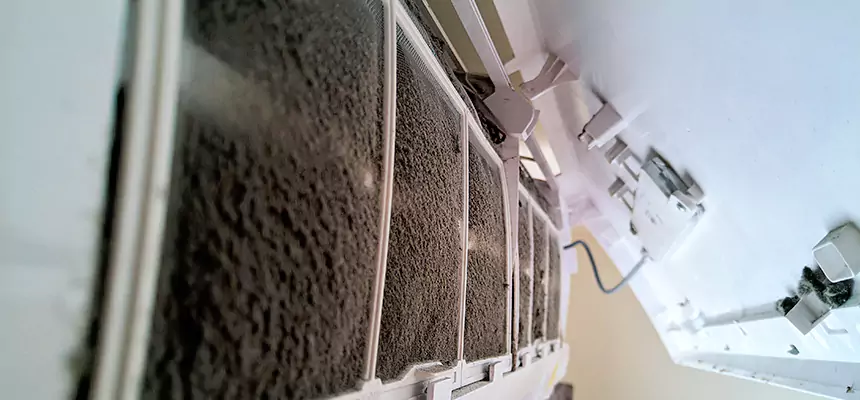 Preventive Air Duct Bacteria Removal in Dothan