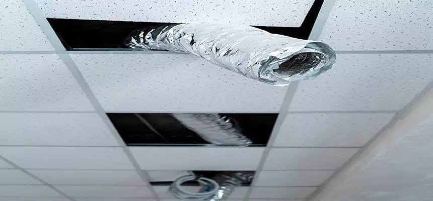 Affordable HVAC Sanitizing After Pest Removal in Dothan