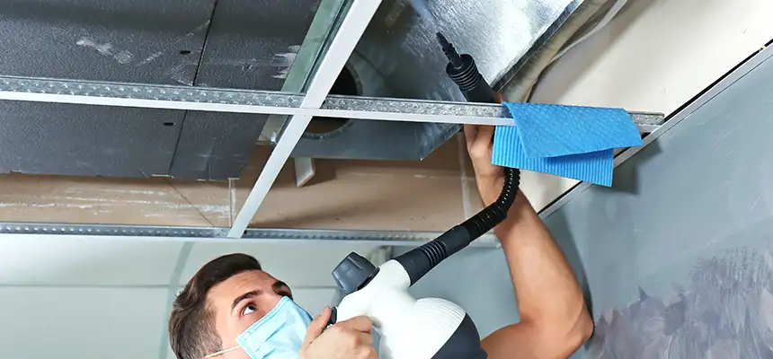 Our Air Duct Rodent Removal Services in Dothan, AL