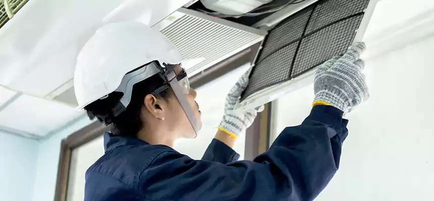 Our Mold & Mildew Removal from Air Ducts Services in Dothan, AL