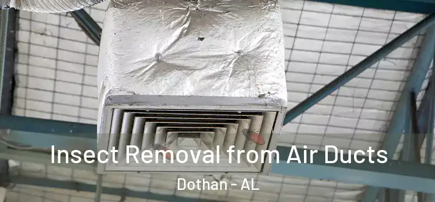 Insect Removal from Air Ducts Dothan - AL