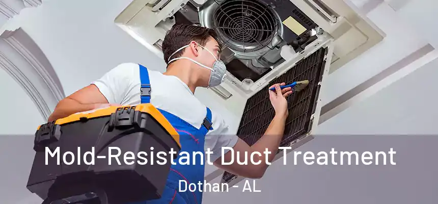 Mold-Resistant Duct Treatment Dothan - AL