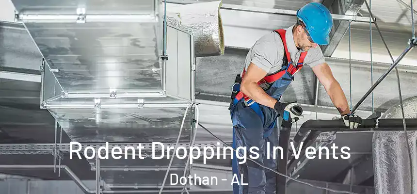 Rodent Droppings In Vents Dothan - AL
