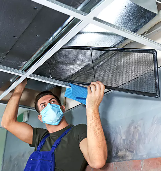About Air Duct Bacteria Removal in Dothan