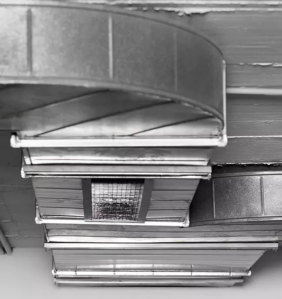 Professional Air Duct Pest Removal in Dothan, AL