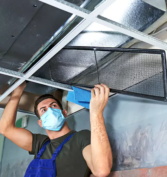 Professional Air Duct Pollen Cleaning in Dothan, AL