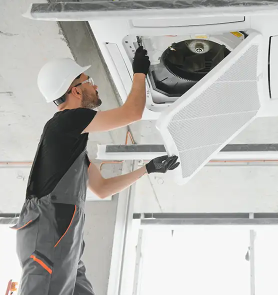 About Air Duct Rodent Removal in Dothan, AL