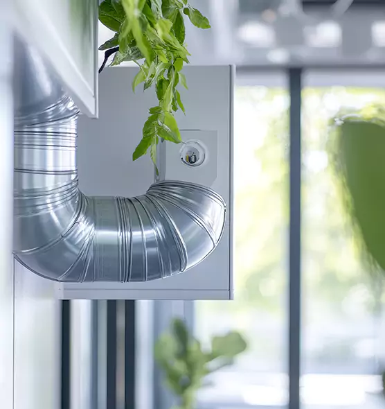 Professional Eco-Friendly Duct Cleaning Services in Dothan, AL