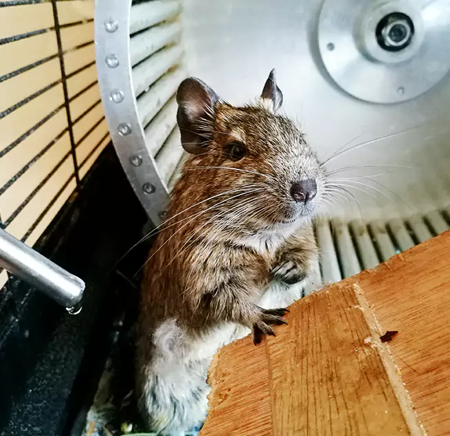 Why Homeowners & Businesses Trust Us Dothan, AL?