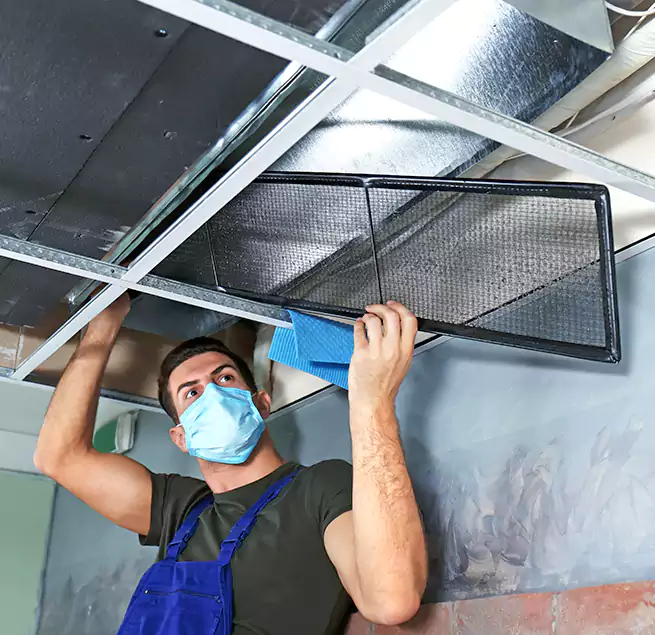 Why Homeowners Businesses Trust Us in Dothan, AL