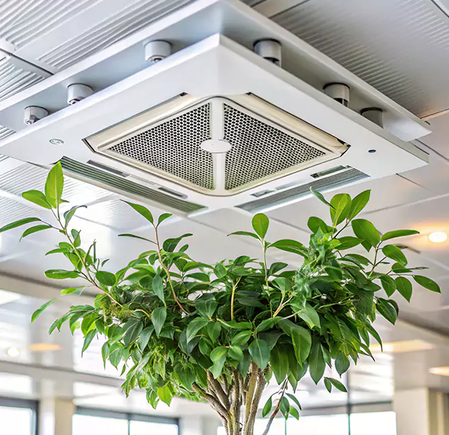 Why Homeowners & Businesses Trust Us in Dothan, AL